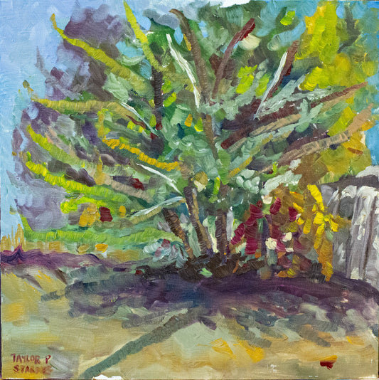 Elsewhere - Original Oil Painting - en Plein Air