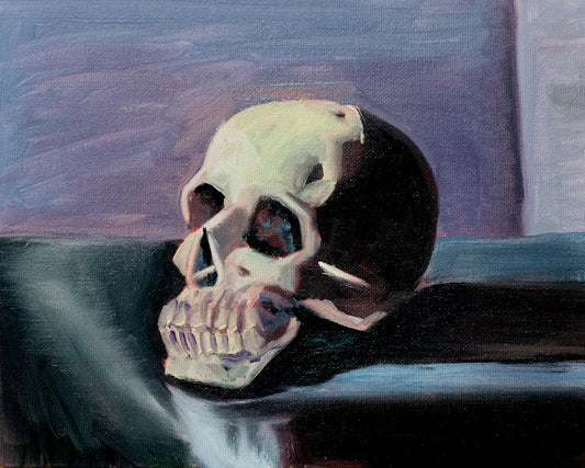 Skull Study 1 - Oil Painting on Panel